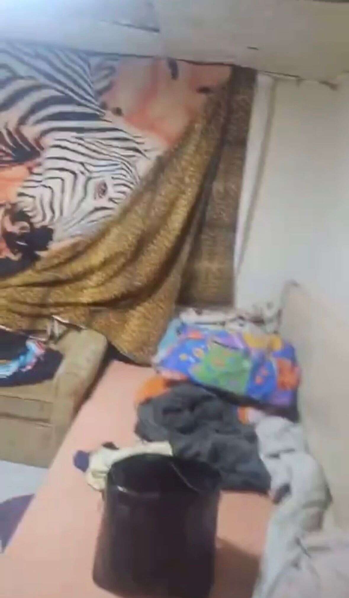 Kaçırılan 8 yaşındaki çocuğun 7 yıllık esaretini polis bitirdi! Çöp evde bulundu 7